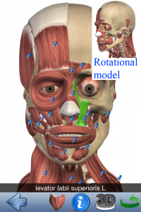 rotational